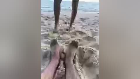 volnav free recording from 2026-01-10 01:14:00