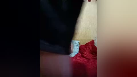 android431 free recording from 2026-01-11 00:45:00