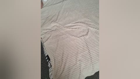 cat_bars69 free recording from 2026-01-11 00:06:00