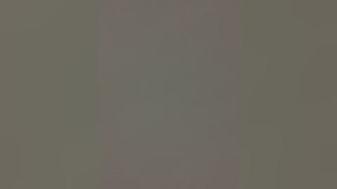 A digital video of a plain, neutral-toned wall with a vertical line of lighter shade running down the center, creating a subtle contrast. The texture appears smooth, with no visible objects or details.