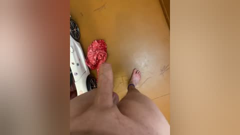 alex_kis777 free recording from 2026-01-13 01:17:00