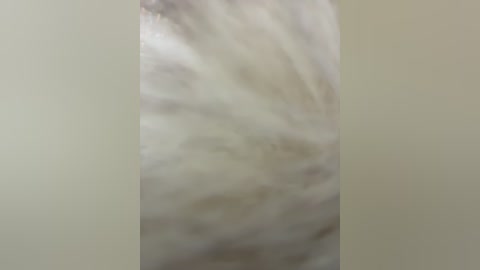 linahelen free recording from 2026-01-13 00:08:00