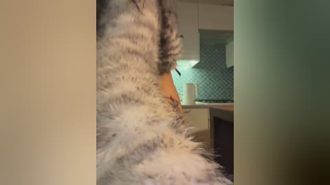 __sativa__ free recording from 2026-01-14 03:07:00