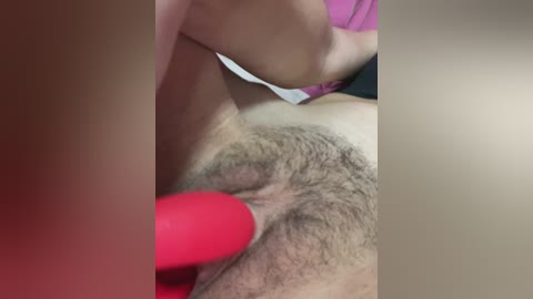 cat_meowa free recording from 2026-01-14 03:07:00