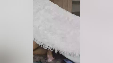 ds888 free recording from 2026-01-15 00:07:00