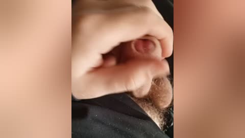 A close-up video shows a hand with fair skin gently holding a small, light-brown pubic hair clump. The background is blurred, featuring a black fabric.