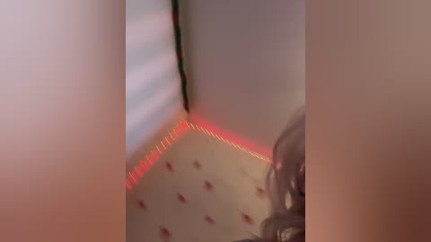 littledelora free recording from 2026-01-16 00:56:00