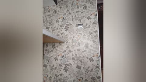 palmyra free recording from 2026-01-16 00:12:00