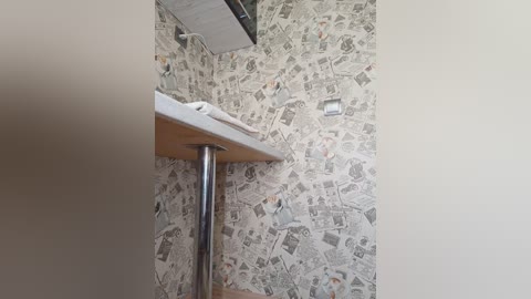 palmyra free recording from 2026-01-16 00:12:00