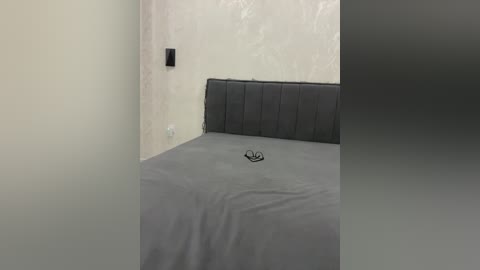 pararam free recording from 2026-01-16 00:56:00