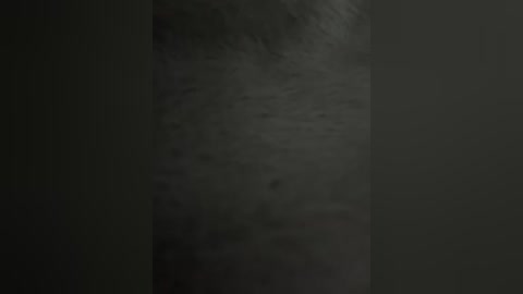 seksidal free recording from 2026-01-16 00:31:00