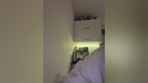 taanni free recording from 2026-01-16 04:42:00