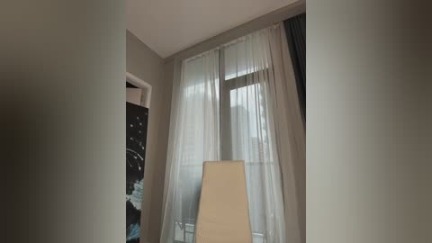 talilia free recording from 2026-01-16 00:12:00