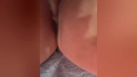 _leiaproseccina_ free recording from 2026-01-17 00:52:00