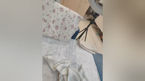 angelia22 free recording from 2026-01-17 02:51:00