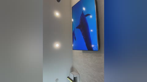 ellidi free recording from 2026-01-17 00:00:00