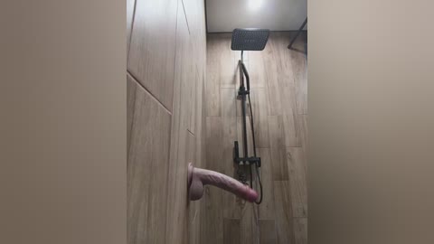 gggglaaaaaafftt596rr free recording from 