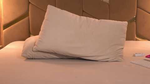 girl_pleasure free recording from 2026-01-17 02:51:00