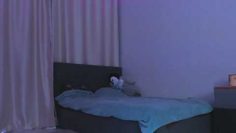 janetshy free recording from 2026-01-19 03:21:00