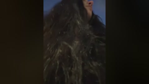 markaa0 free recording from 2026-01-17 00:29:00