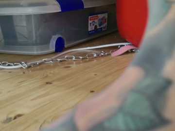 wild41 free recording from 2026-01-17 02:51:00