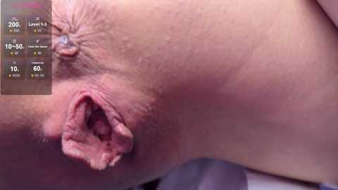 dvabomja free recording from 2026-01-18 00:00:00