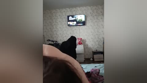 anitka free recording from 2026-01-20 00:54:00