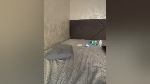 big_ass____ free recording from 2026-01-19 01:15:00