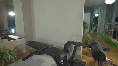 heybanana free recording from 2026-01-19 00:40:00