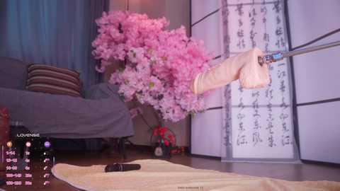 marry_cordy free recording from 2026-01-19 01:14:00