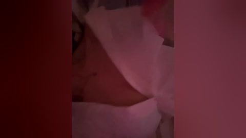 seksidal free recording from 2026-01-19 00:21:00