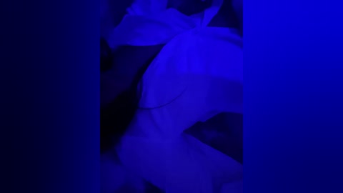 seksidal free recording from 2026-01-19 00:21:00