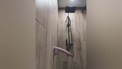 gggglaaaaaafftt596rr free recording from 2026-01-20 01:45:00