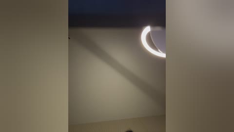 _molly_mae_ free recording from 2026-01-21 00:19:00