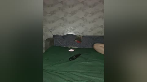 crazy_lady free recording from 2026-01-21 00:00:00