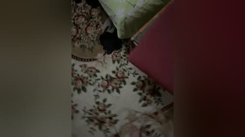 Video of a dimly lit, vintage-style room with floral-patterned wallpaper, a green cushion, and a red chair. The scene exudes a cozy, old-world charm.