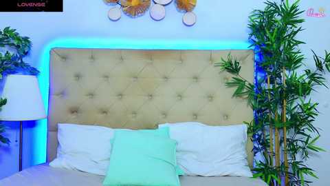 daliyaarabian free recording from 2026-01-21 00:19:00