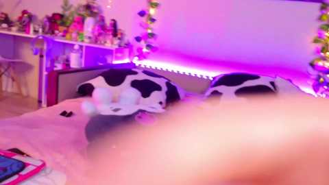 night_angell free recording from 2026-01-22 00:01:00