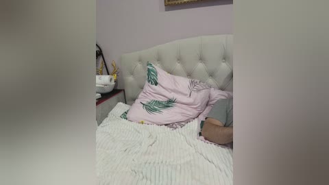 paratrax free recording from 2026-01-22 00:26:00