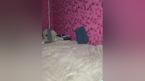 cat_meowa free recording from 2026-01-24 00:58:00