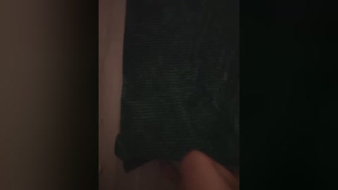 fierynight77 free recording from 2026-01-24 01:27:00