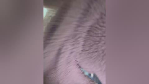 likachkaa free recording from 2026-01-23 01:15:00