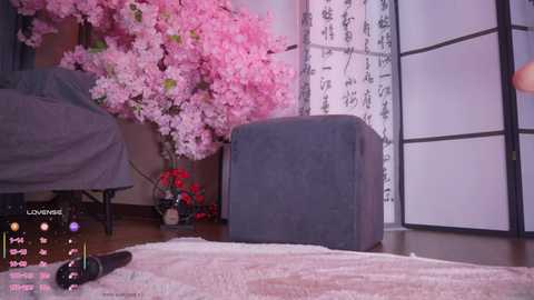 marry_cordy free recording from 2026-01-23 01:06:00