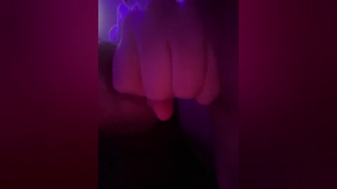 seksidal free recording from 2026-01-25 00:53:00