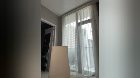 talilia free recording from 2026-01-23 01:15:00