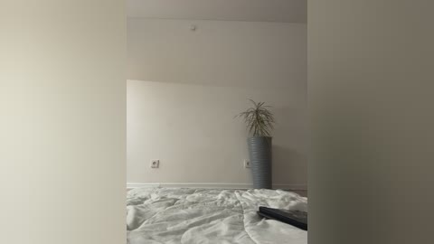 notbellucci free recording from 2026-01-24 01:27:00