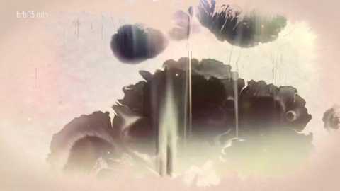 taanni free recording from 2026-01-24 00:33:00