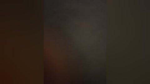 This image is a blurred video with a dark, indistinct background. The central figure is slightly out of focus, making it difficult to identify any specific features or details. The overall color palette is muted, with shades of brown, gray, and black dominating.