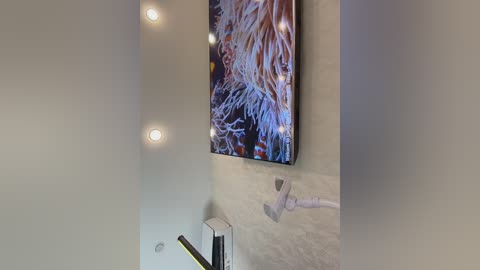 ellidi free recording from 2026-01-25 00:36:00