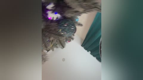 ellidi free recording from 2026-01-25 00:06:00